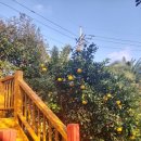 물댄동산 통나무펜션 이미지