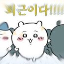 그린리치 이미지