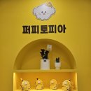 요토피아 네이버블로그