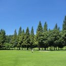 코오롱가든골프장 | 경주 코오롱CC (코오롱 가든 골프장) 2인 겨울 라운딩 후기