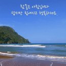 청량리종로약국 네이버블로그