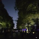(야간)수채 보태니컬 아트 | 팀랩 오사카 - Botanical Garden 후기, 예약, 가는법, 입장시간