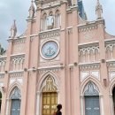 성당시장 | [베트남 다낭] 1일차 여행 / 한시장, 티엔킴, 롯데마트, 핑크성당 • 후기