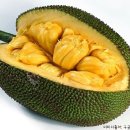 청주조이전자담배 이미지