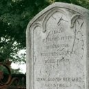 이상국의 힐링콘서트5 이미지