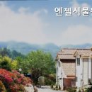 엔젤 식물원 이미지