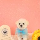 네임드 살롱 이미지