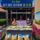 프린스당구장 한국공보뉴스