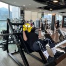 근모닝피티 이미지