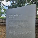 대계마을 | 성주 한개마을