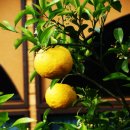 산야별장 이미지