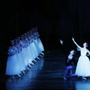 유니버설발레단 지젤 이미지