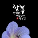 오거리약국 이미지