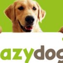 레이지독 이미지