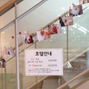 노블동물병원 이미지