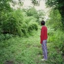 김옥선