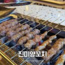 장림16-3 | 부산 사하구 장림 양꼬치 맛집 진미양꼬치 모둠양꼬치 후기