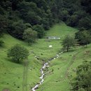 하늘마루염소목장 이미지