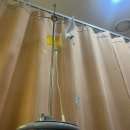 본 당구교실 | 꼬로록한 「9월」 삐까아의 일상