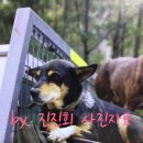 공기같은 편안함 이미지