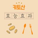 녹십초알로에서대문지사 | 키토산, 체지방 분해 효과는 과연 사실인가? 확인해보자!