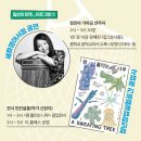 세화영어서점 이미지