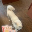 소금별 | 구미 금리단길 소품샵 : 소금별상점 :)