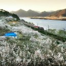 송정서부 이미지