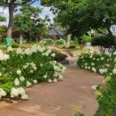 함평천지길 이미지