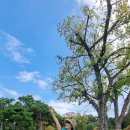 이함미술관 이미지