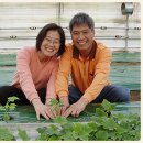 새늘농원 이미지