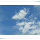 마음엔뜰 이미지