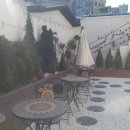 동궁초장회 이미지