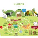 [남해데이트코스추천] 남해상상양떼목장 편백숲 후기