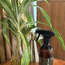 참진유통 | 코트 냄새 제거 편백수 스프레이 사용법 바이오엠케이 편백탈취제