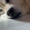 팔도세차장 이미지