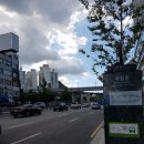 독립문동물병원 | 독립문 동물병원 후기