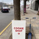 제주도 선물 추천 수제 쿠키 전문점 레드베어