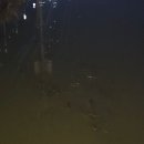 모차모텔 이미지