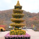 재인폭포와 두루미 이미지