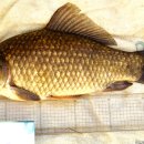 섬진강낚시 이미지