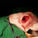 오산25시종합동물병원 이미지