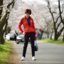 송광사&벚꽃길 이미지