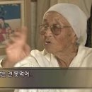 내마음의고기
