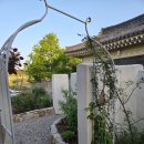 스테이반월 | 경주 자쿠지 감성숙소 '스테이반월' 내돈내산 후기