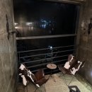 [경기] 가평여행 가평숙소추천 남이섬 근처 숙소, 에스에스 리조트