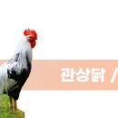 구피샵천안 네이버블로그