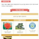세빛관학원 네이버블로그