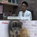 사남매농장2 이미지