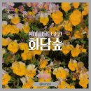 슈퍼마켓 자연숲본점 | [광주] 화담숲 5월 초 개화 상황 (2025년 5월 4일 방문 후기) + 예약 방법까지